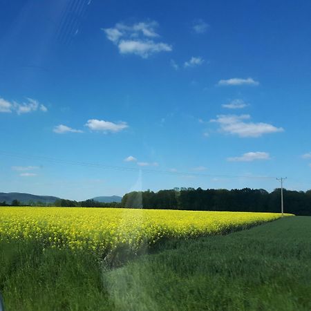 Agroturystyka "Jagap" Oaza Spokoju Dzierzoniow Exterior photo